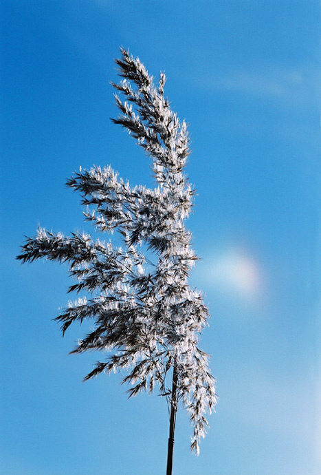 Spring spring, sky, blue, rainbow