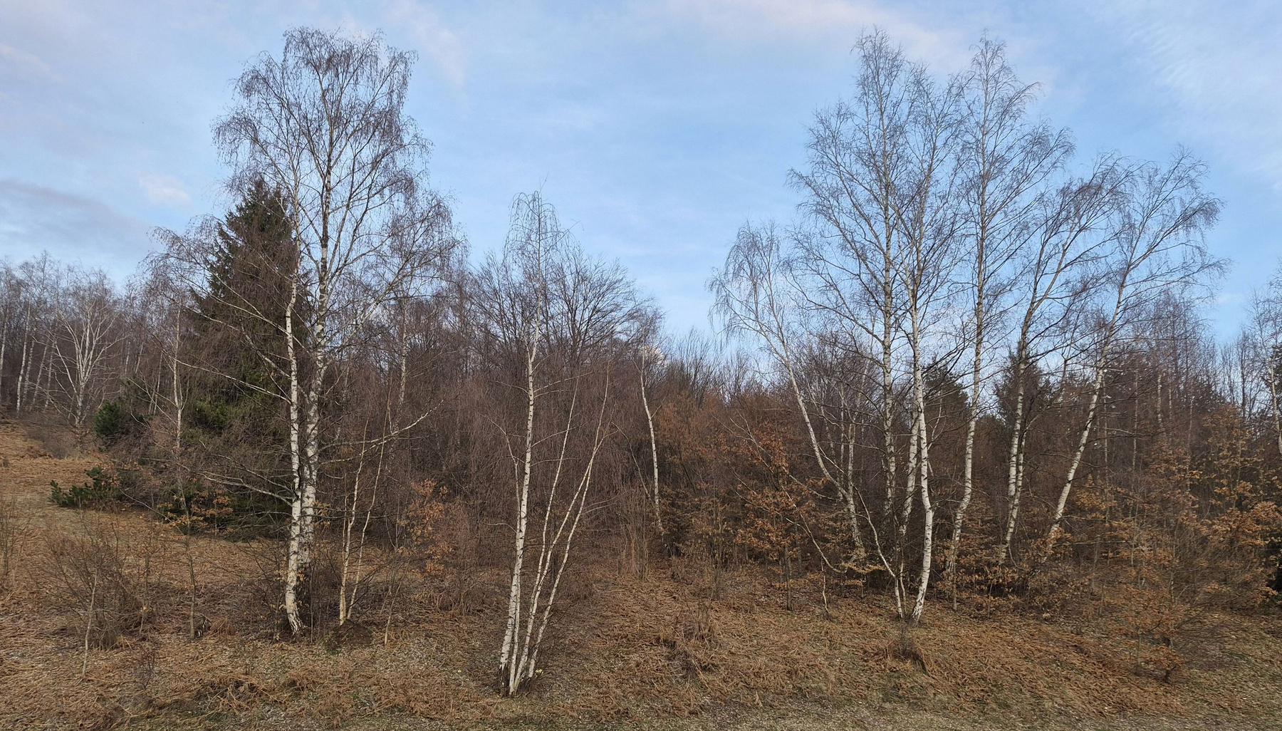 *** 