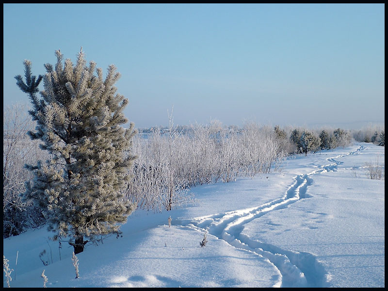 морозное утро 