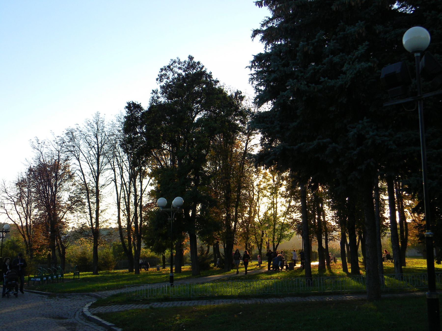 в парке парк