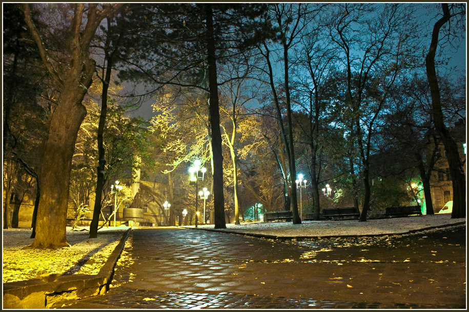 Вечерний парк природа,зима,снег,вечер