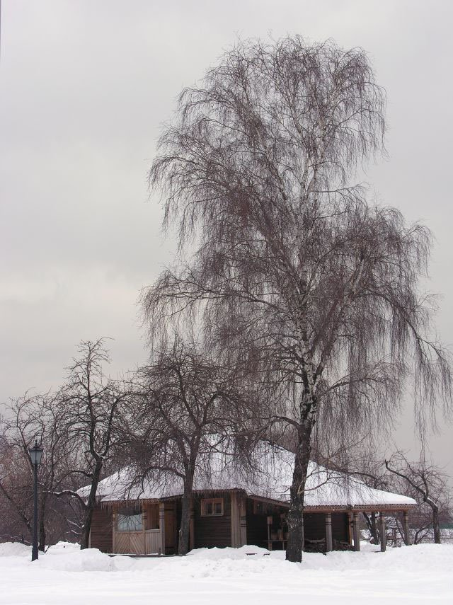 Домик в деревни. 