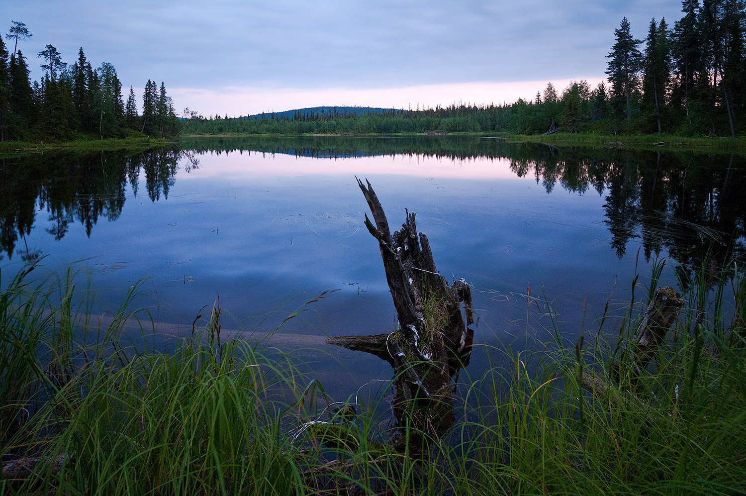 *** карелия, россия, природа, пейзаж, вода, лес, озеро