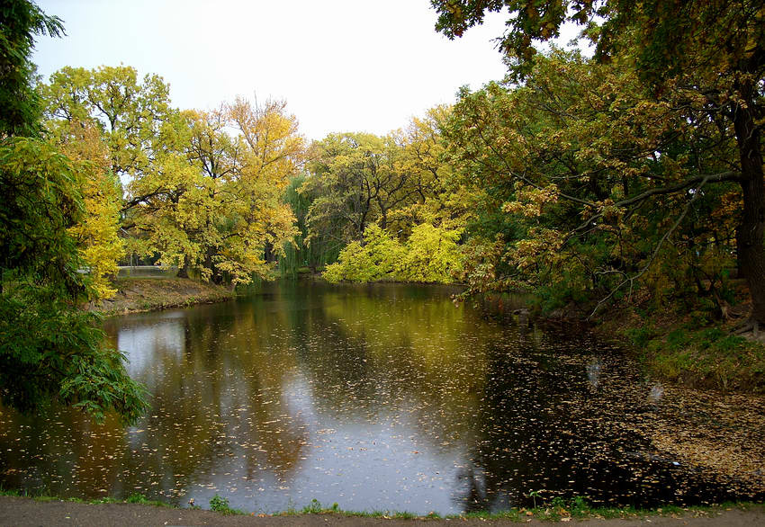 Прогулка в парке парк, осень, пруд