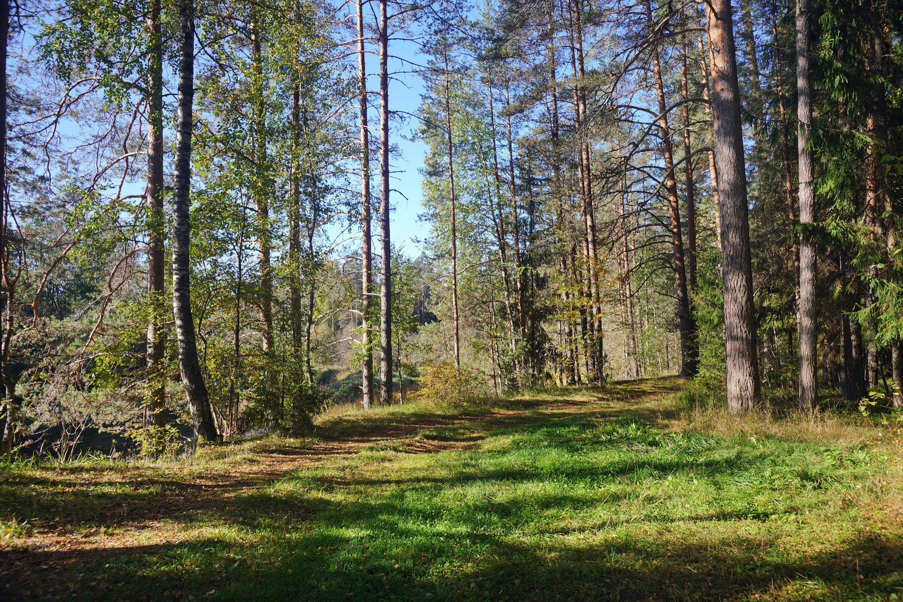 Осенняя зарисовка 