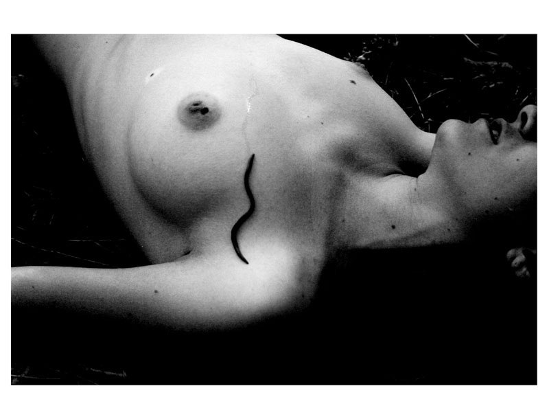 Earthworm 