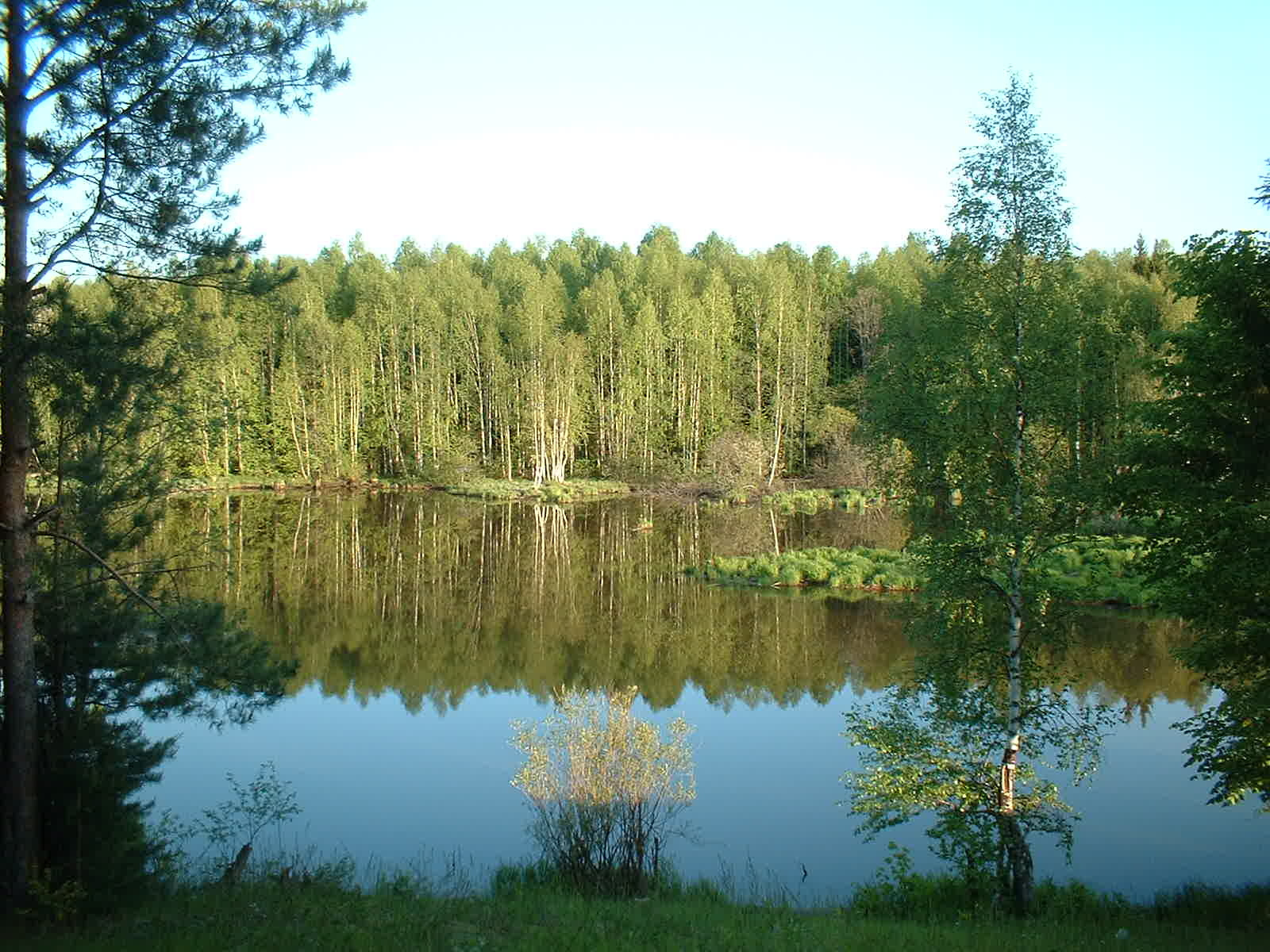 Тихая заводь Вода, залив, берег, у воды