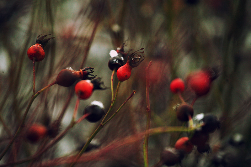 ... autumn 