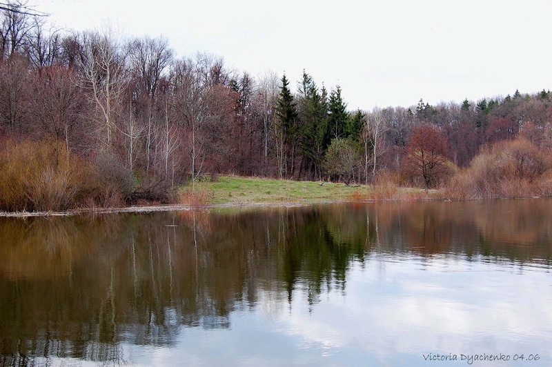 the mirror of spring весна речка вода отражение небо