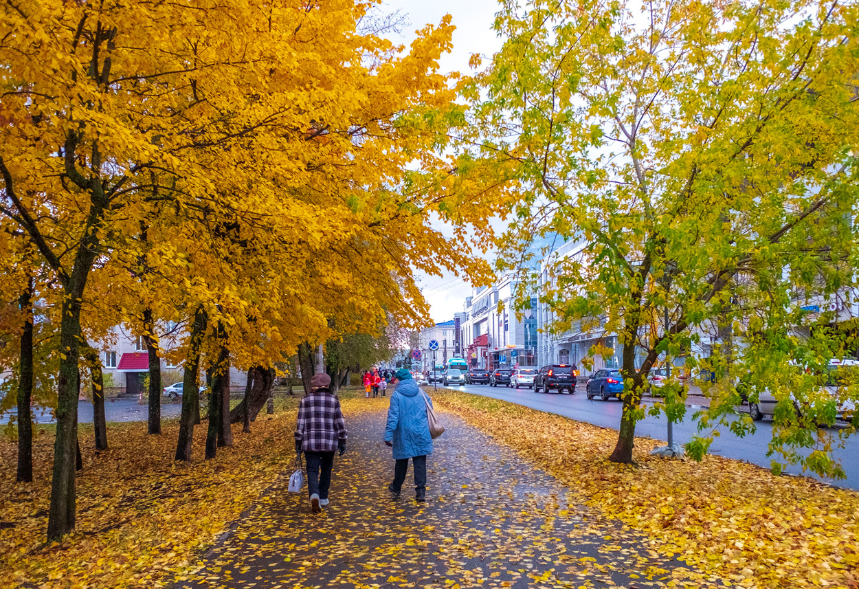 Осенний Архангельск 