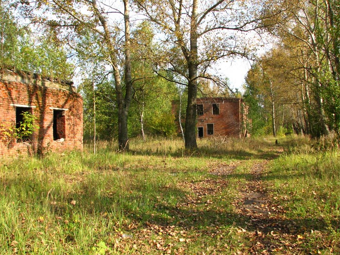 *** дома заброшенные осень деревья природа