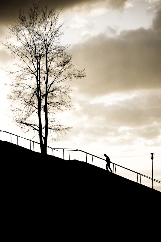 Одно дерево. Один человек. Один фонарь. силует, дерево, лестница, человек