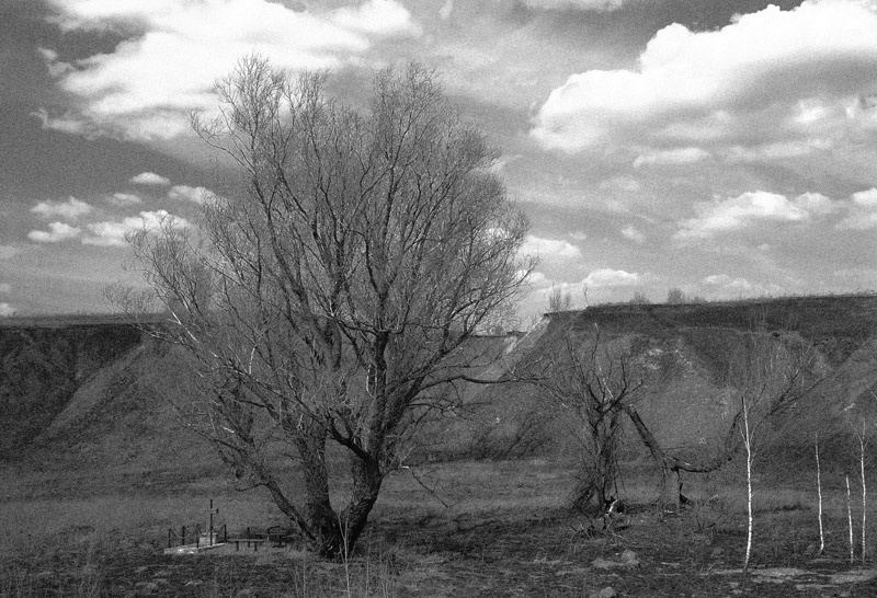 Вечный покой (1) Пейзаж, крест, безмятежность, тишина, деревья, выжжено