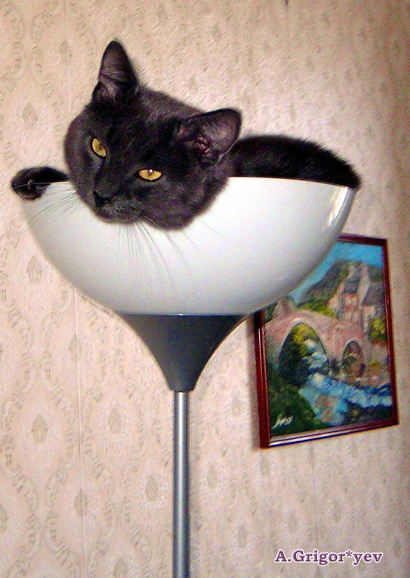 Кот-светильник кот