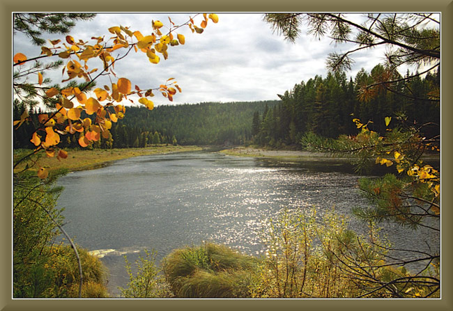 *** река вода тайга