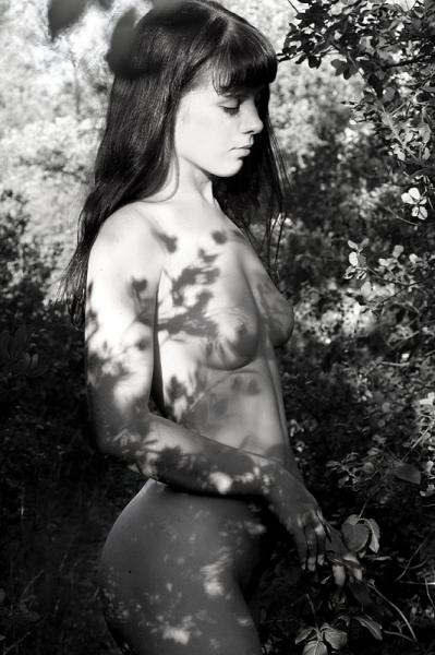 Faeries 