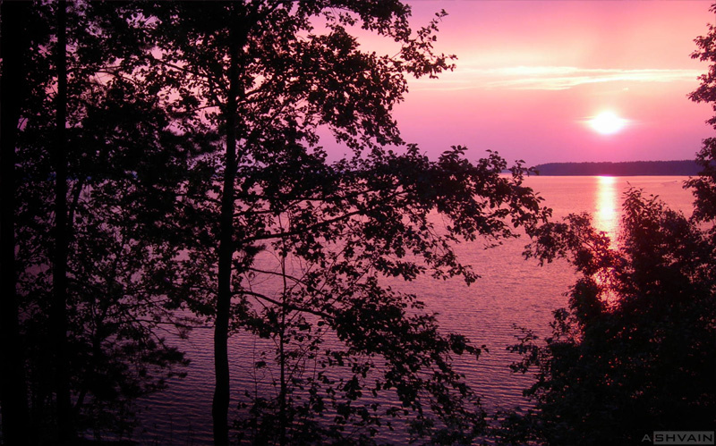 Lake 