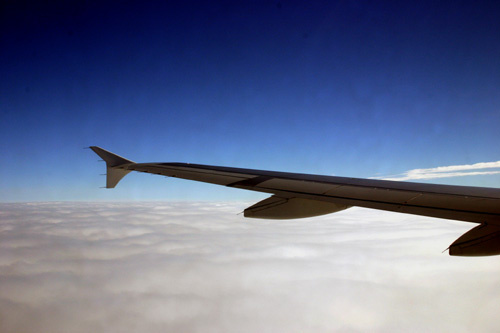 Wing 