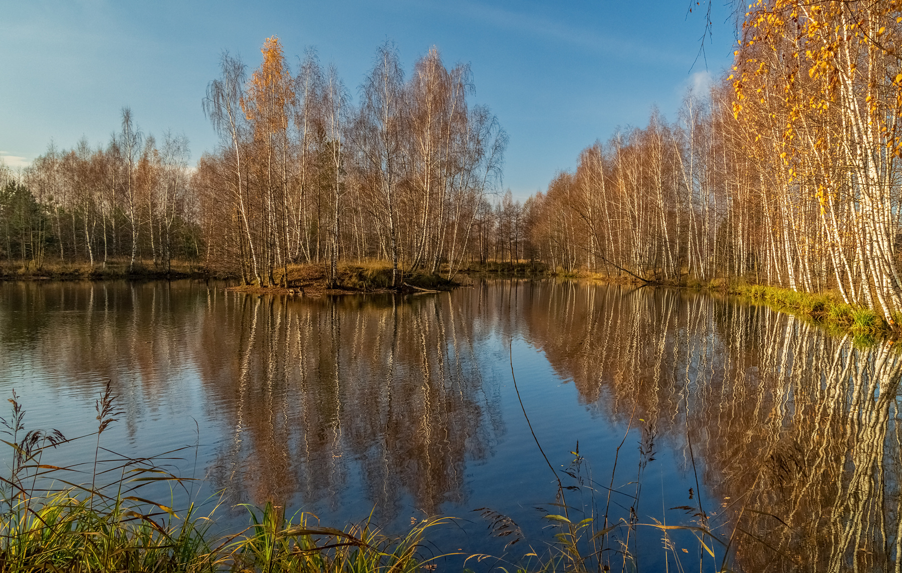 Осень не сдаётся 4 