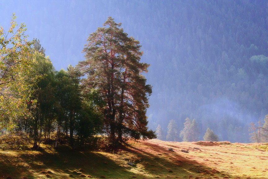Дыхание осени (var.2) 