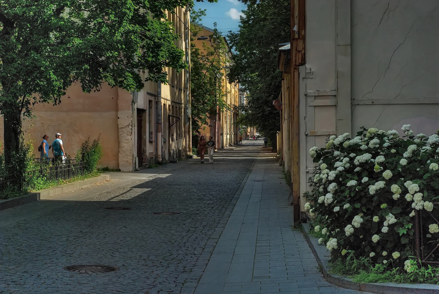 Улица Репина Петербург