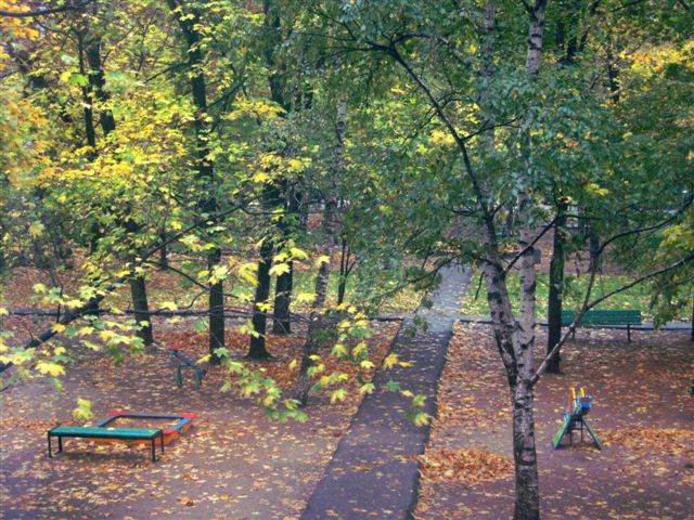 осень улыбается в окно осень, природа