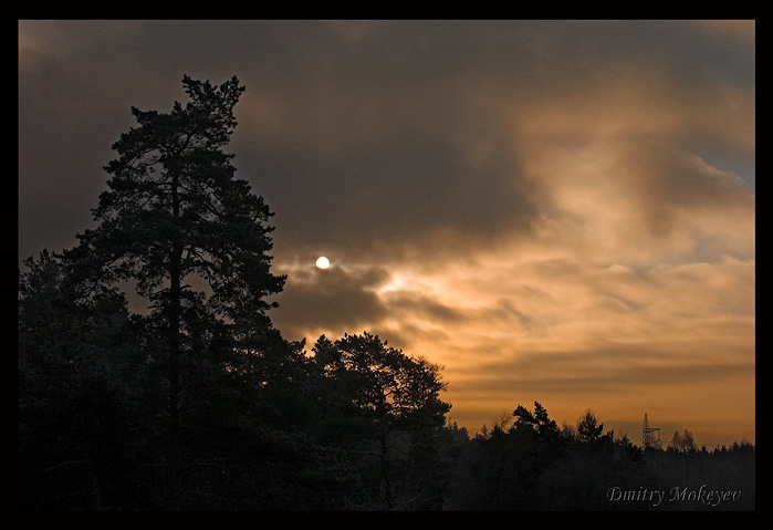 Шмерлис Дмитрий Мокеев, Dmitry Mokeyev, sunrise, рассвет, лес, солнце