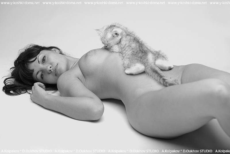 pussycats 