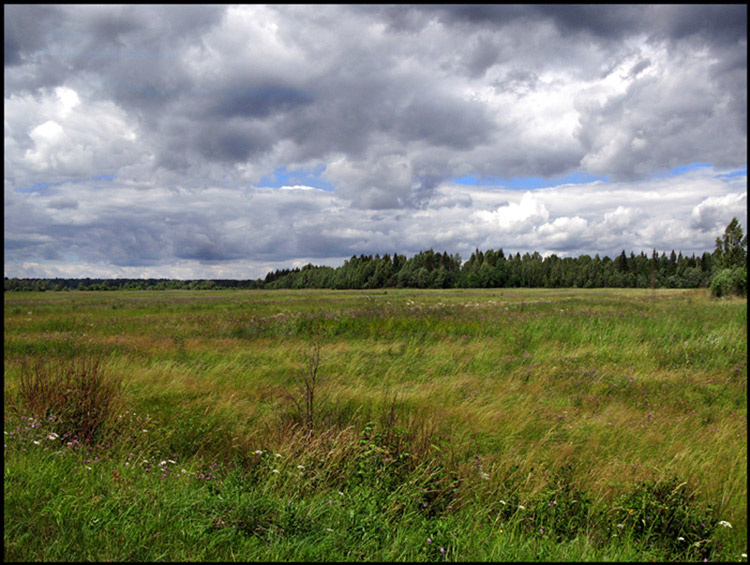 Перед грозой 