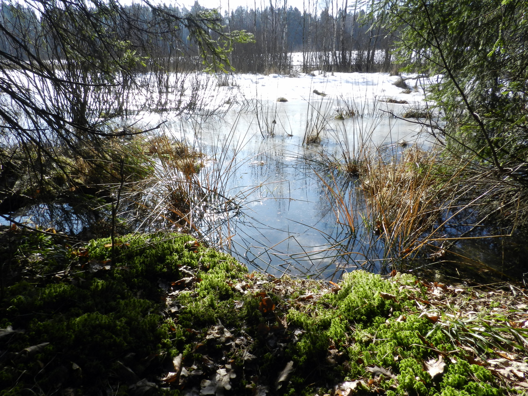 Талая вода. 