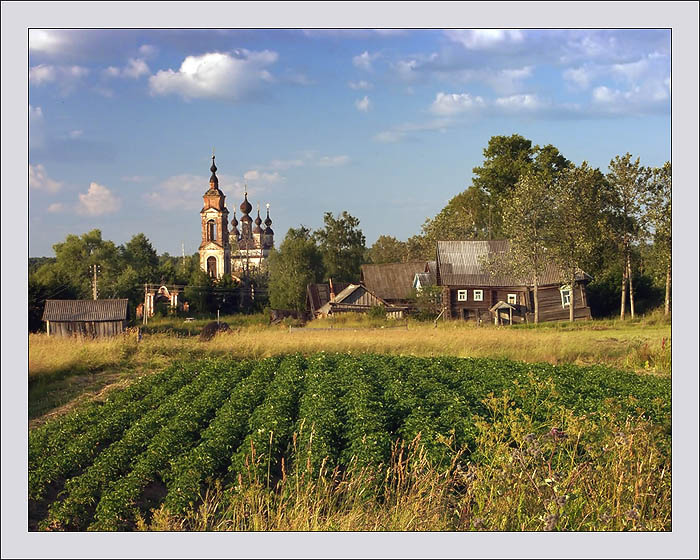 Село русское, классическое 1 село деревня церковь картошка вечер