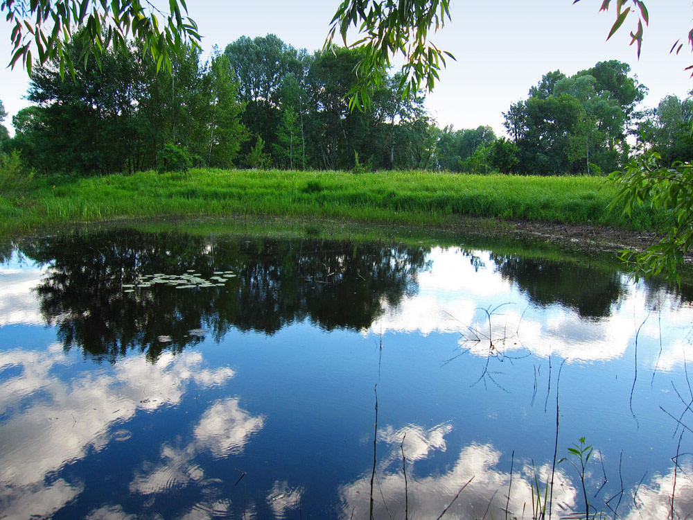 Водяное зеркало 