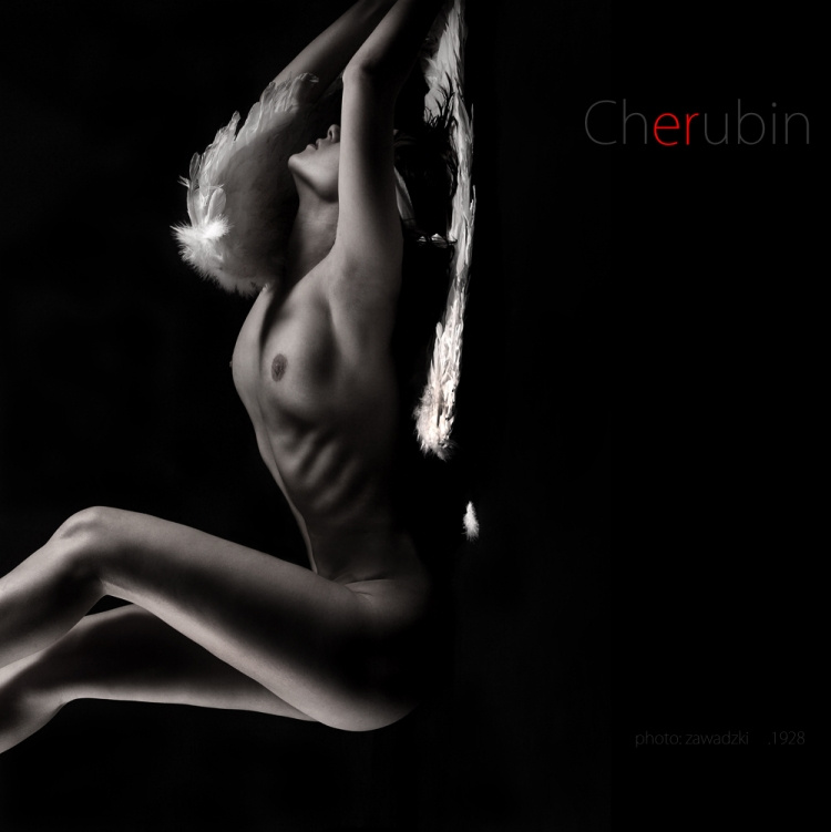 Cherubin 