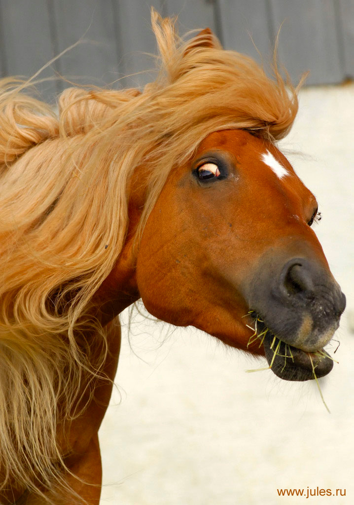 ***Windy? 