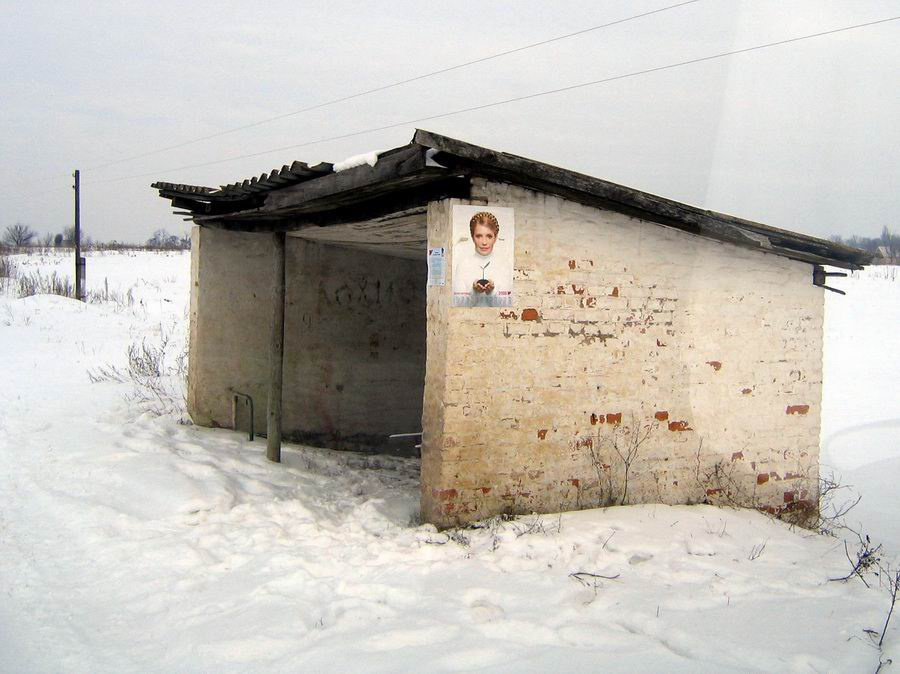 Подснежник зима, снег, хатынка, тимошенко
