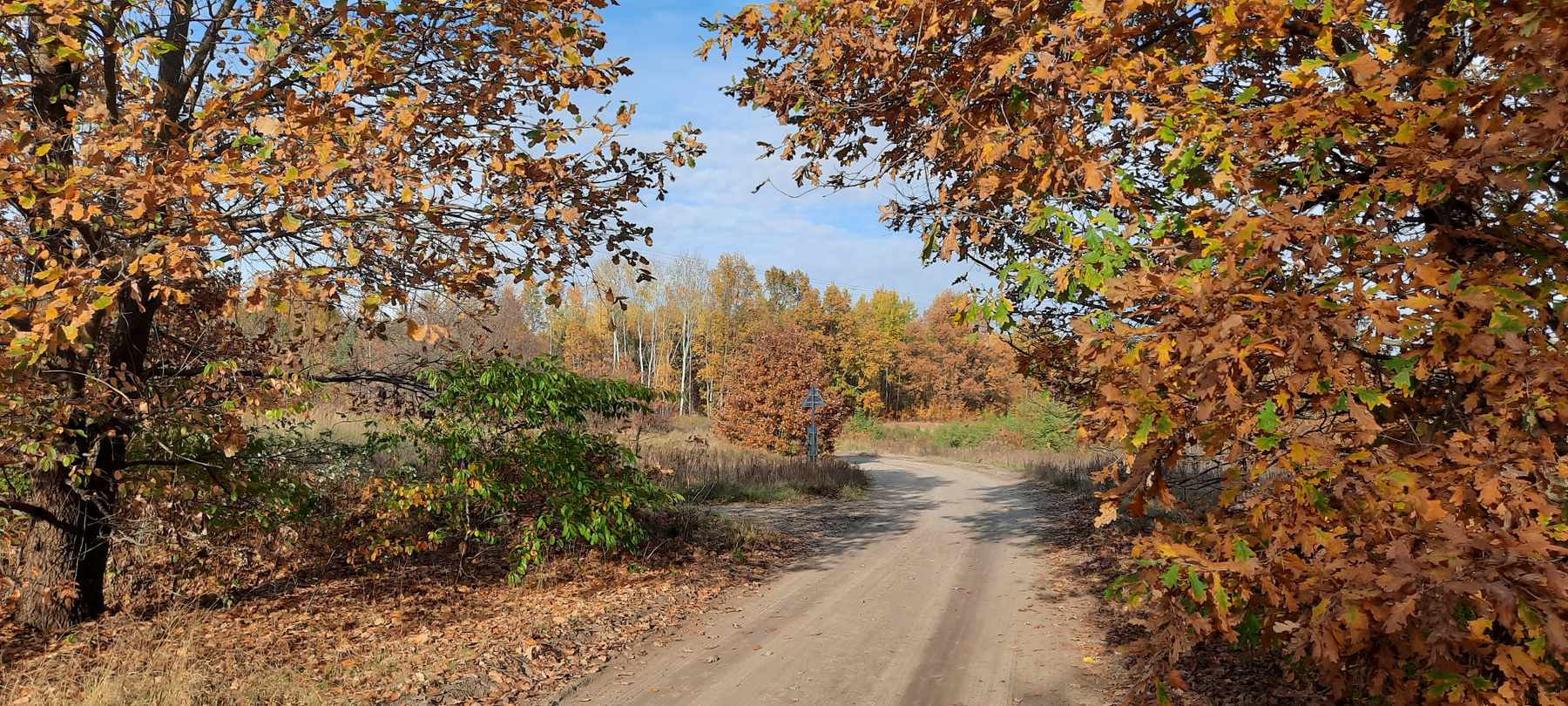 Осень Осень