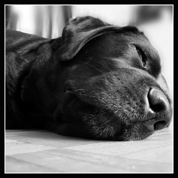 love you, how you sleep 