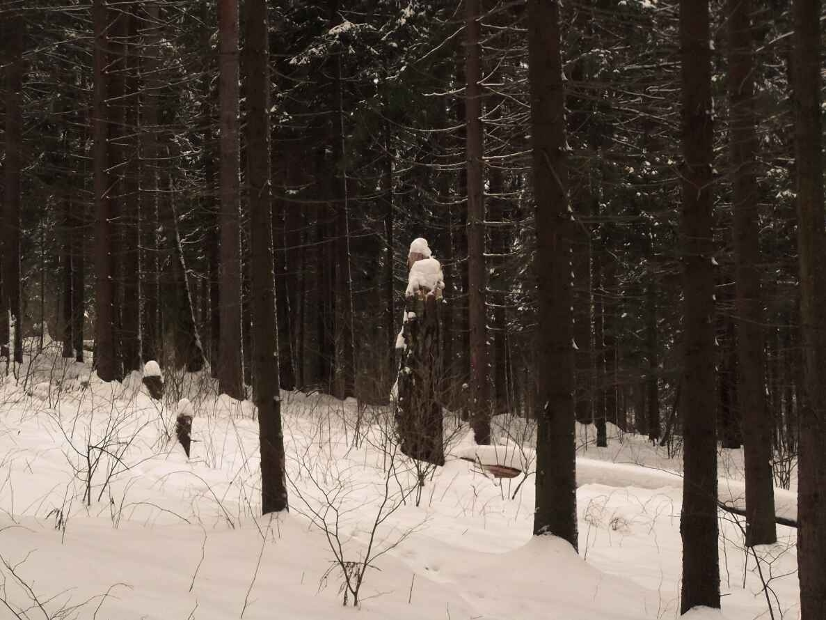 Забытый памятник зима, снег, дерево, памятник