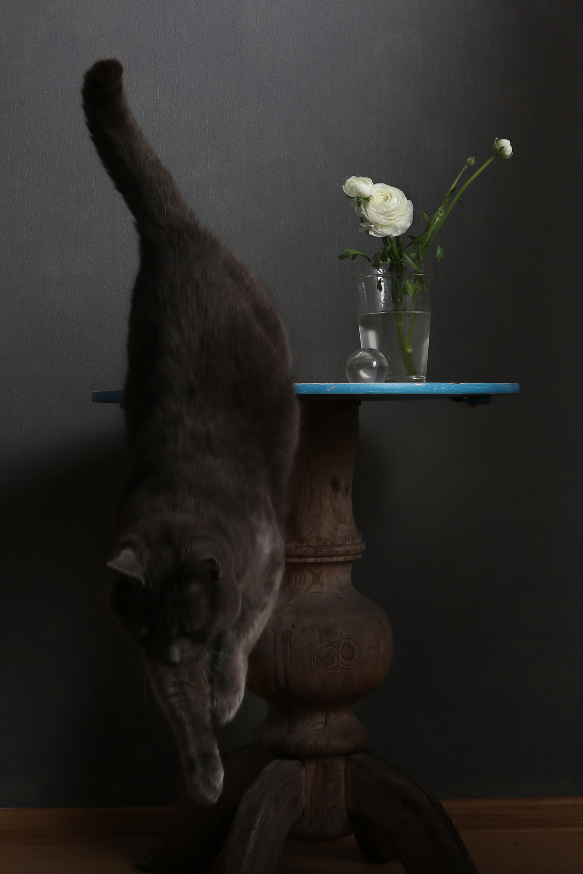 ranunculus 