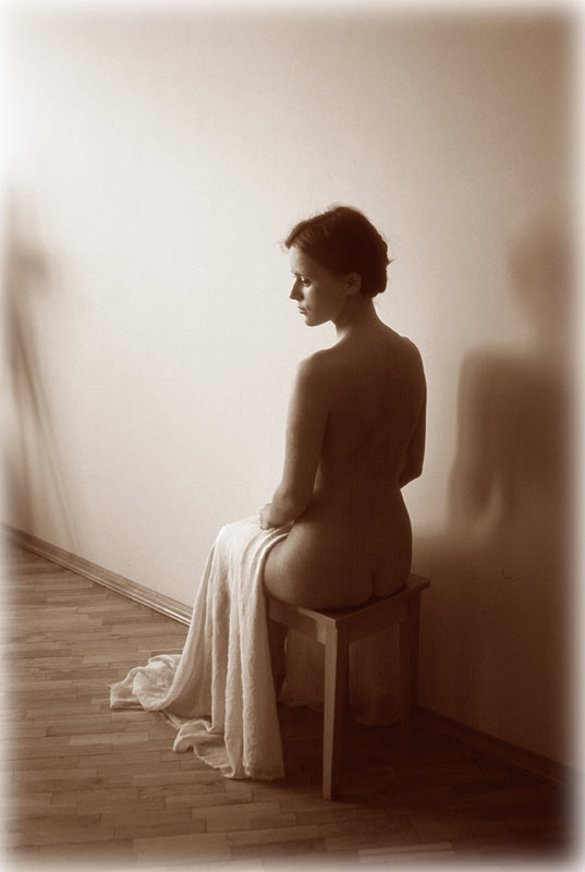 Анна и художник 
