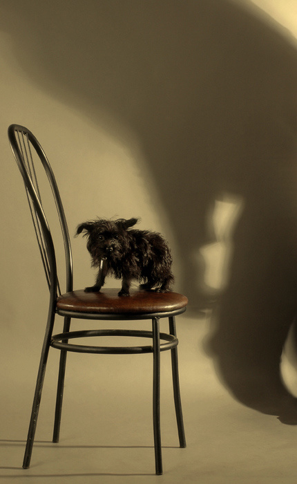 The Shadow 