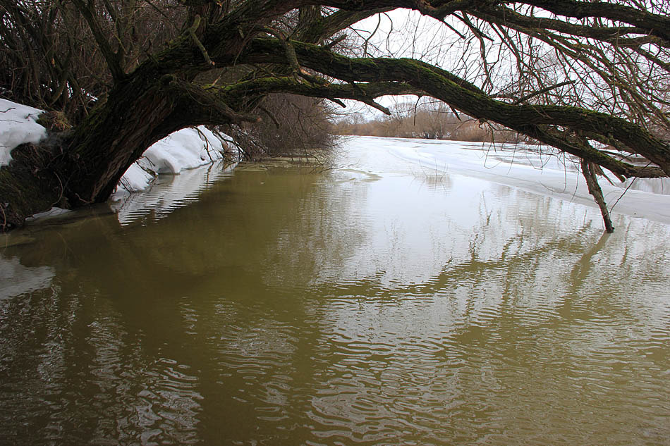 Вода вышла на лед 