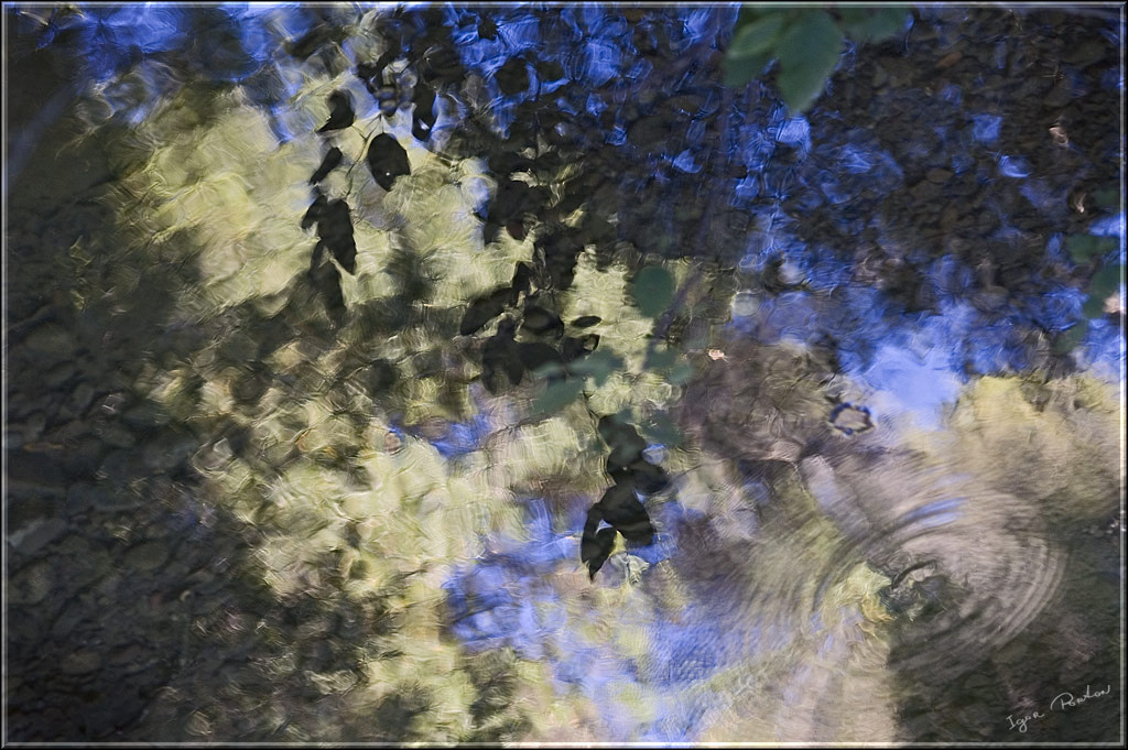 Secret life of reflections Ручей, вода, отражение, капля, круги, мозаика