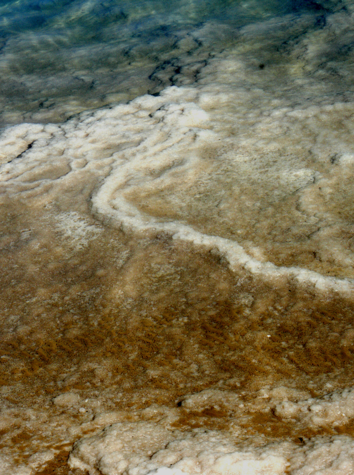 Морская пена 