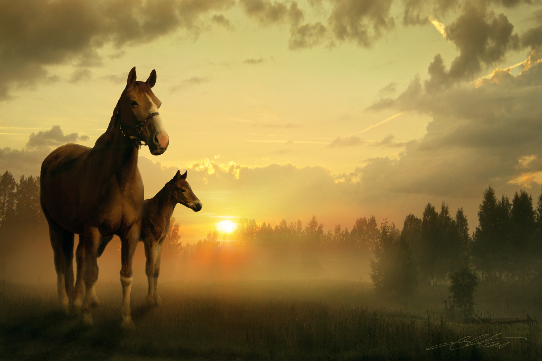 Meadows of Heaven Digital Photo Art Horses Nightwish Eltons Fantasies