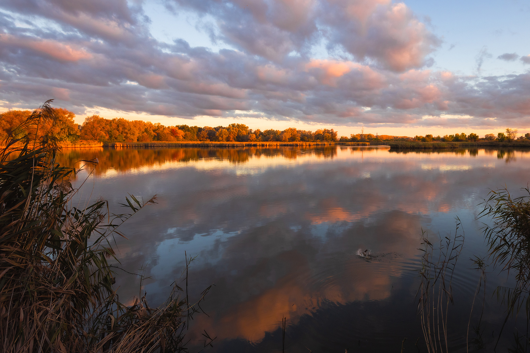 Autumn 
