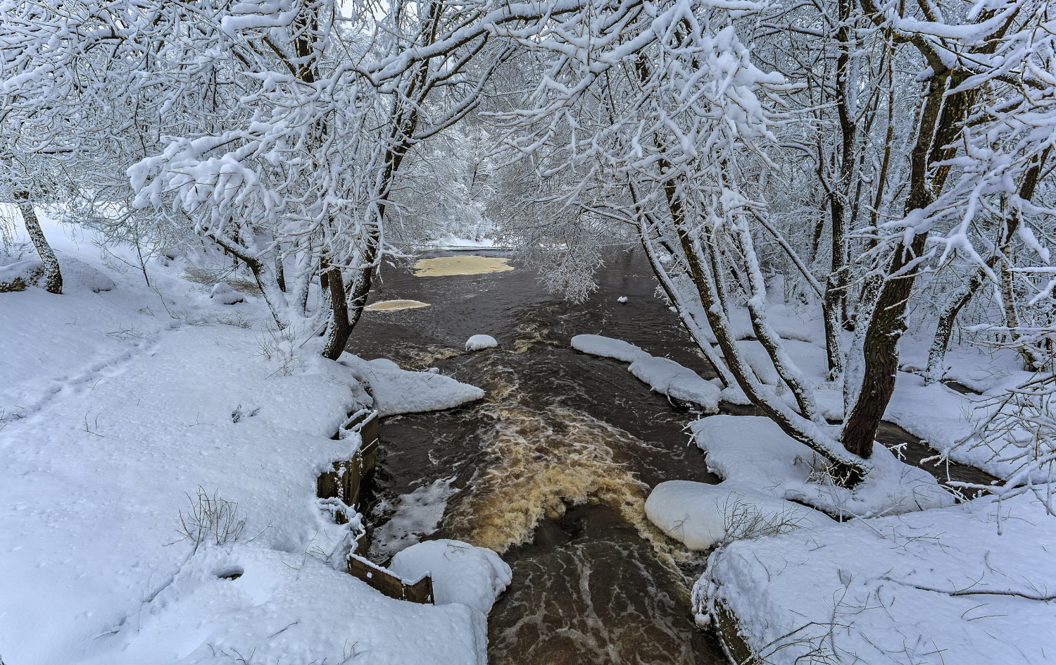 Зимняя речка природа зима снег река