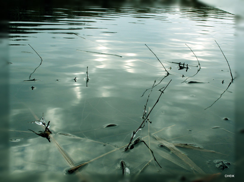 cold water вода зима пруд