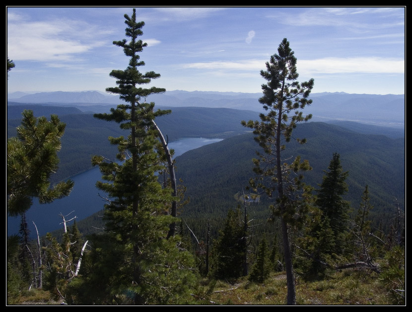 Bowman Lake. Вид сверху. озеро горы жара Bowman Lake Montana GLacier