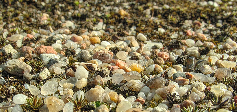 Белорусские самоцветы.. rocks sand macro mosses камни песок мох макро